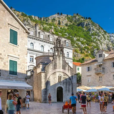 Luxury Price With Private Pool Near Dubrovnik Villa