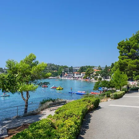 Luxury Price With Private Pool Near Dubrovnik Villa